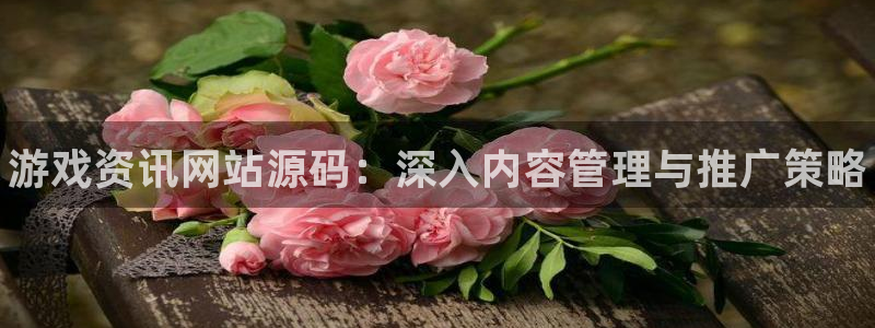 极悦娱乐平台官网客服电话：游戏资讯网站源码：深入内容管理与推