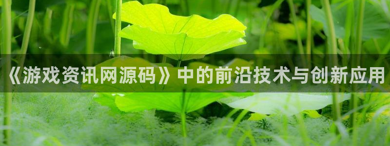 极悦娱乐2登录：《游戏资讯网源码》中的前沿技术与创新应用
