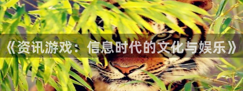 极悦娱乐app下载：《资讯游戏：信息时代的文化与娱乐》
