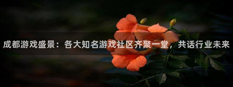 极悦娱乐登陆地址：成都游戏盛景：各大知名游戏社区齐聚一堂，共