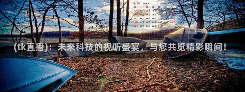 球神直播足球直播：(tk直播)：未来科技的视听盛宴，与您共览精彩瞬间！