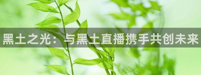 球神直播体育免费观看：黑土之光：与黑土直播携手共创未来