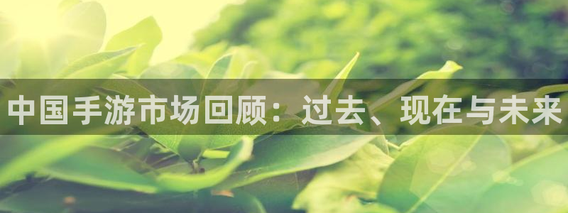 极悦娱乐官方登录网址：中国手游市场回顾：过去、现在与未来