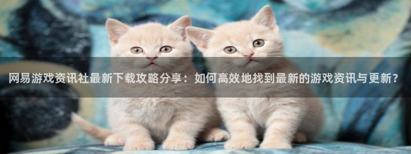 极悦娱乐注册平台：网易游戏资讯社最新下载攻略分享：如何高效地