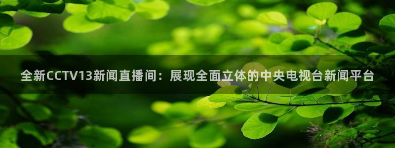 球神体育直播在线：全新CCTV13新闻直播间：展现全面立体的中央电视台新闻平台