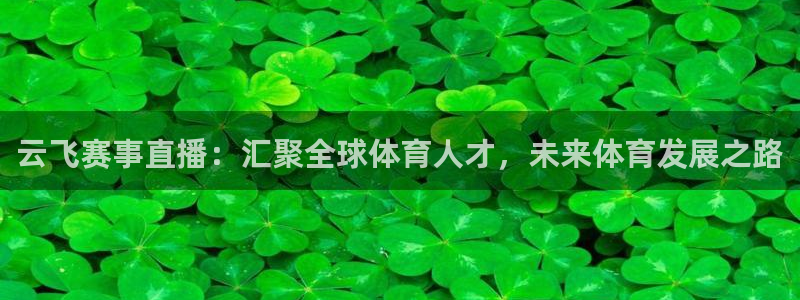 球神直播体育足球：云飞赛事直播：汇聚全球体育人才，未来体育发展之路