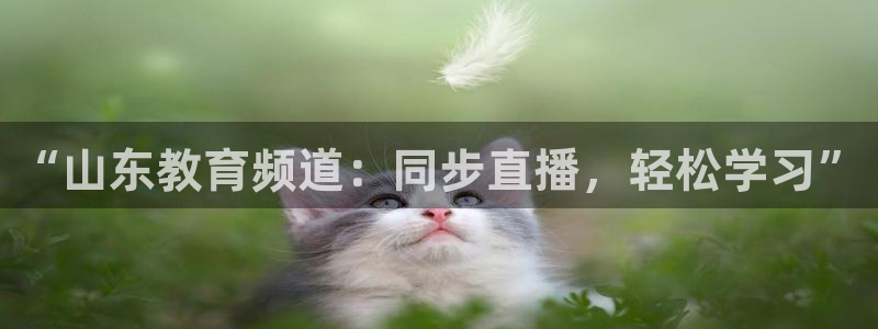 球神直播体育免费直播：“山东教育频道：同步直播，轻松学习”