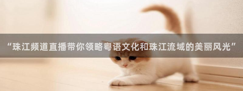 qszb球神直播：“珠江频道直播带你领略粤语文化和珠江流域的美丽风光”