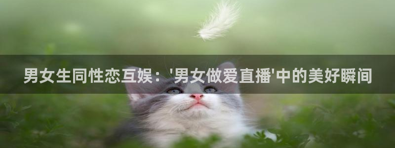 球神直播免费直播：男女生同性恋互娱：\'男女做爱直播\'中的美好瞬间