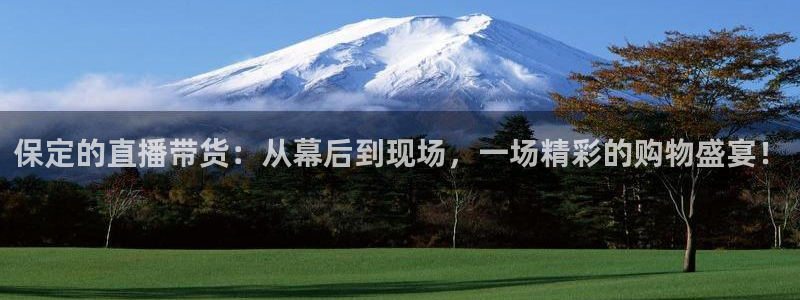 球神直播体育在线观看