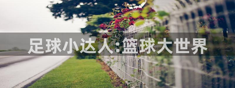 球神足球直播在线观看