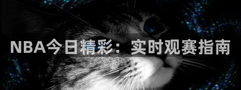 球神直播免费足球直播：NBA今日精彩：实时观赛指南
