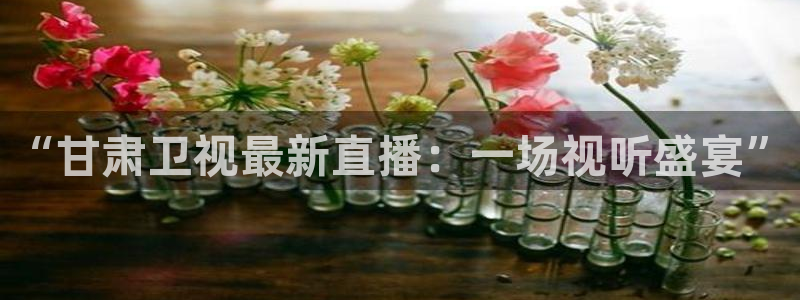 球神直播足球：“甘肃卫视最新直播：一场视听盛宴”