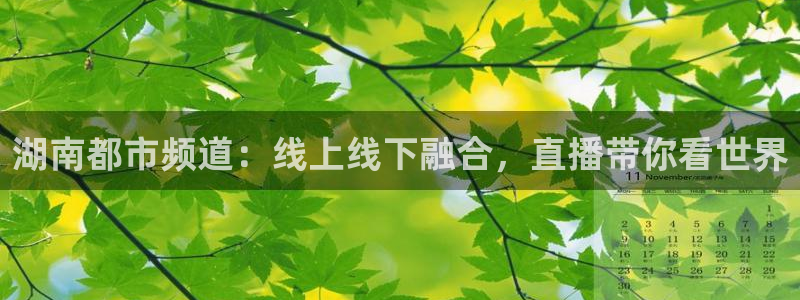 nba直播球神直播：湖南都市频道：线上线下融合，直播带你看世界