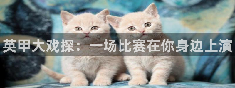 球神直播：英甲大戏探：一场比赛在你身边上演