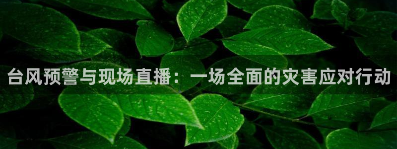 球神nba直播：台风预警与现场直播：一场全面的灾害应对行动